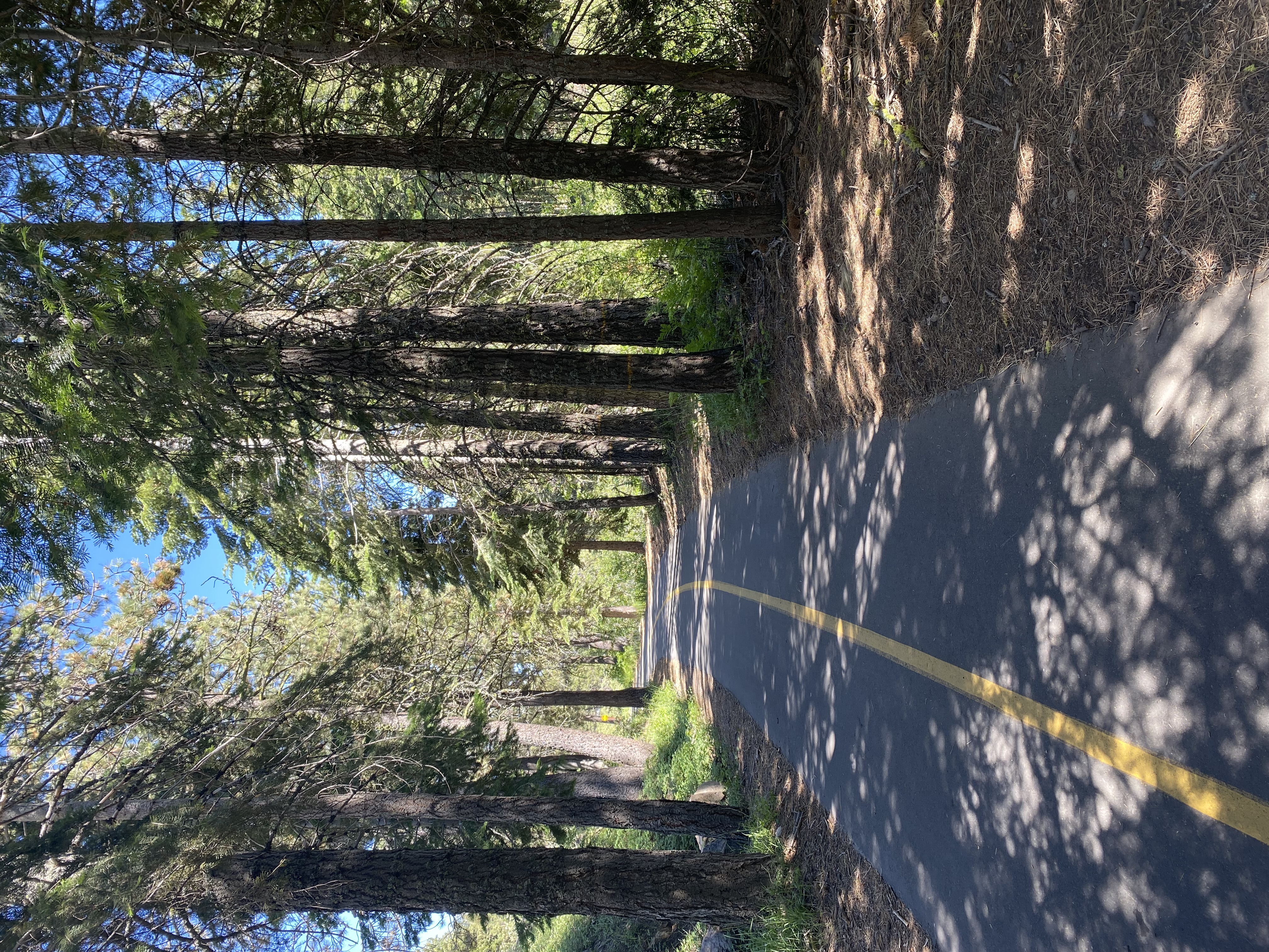 Compassionate Trauma Therapy