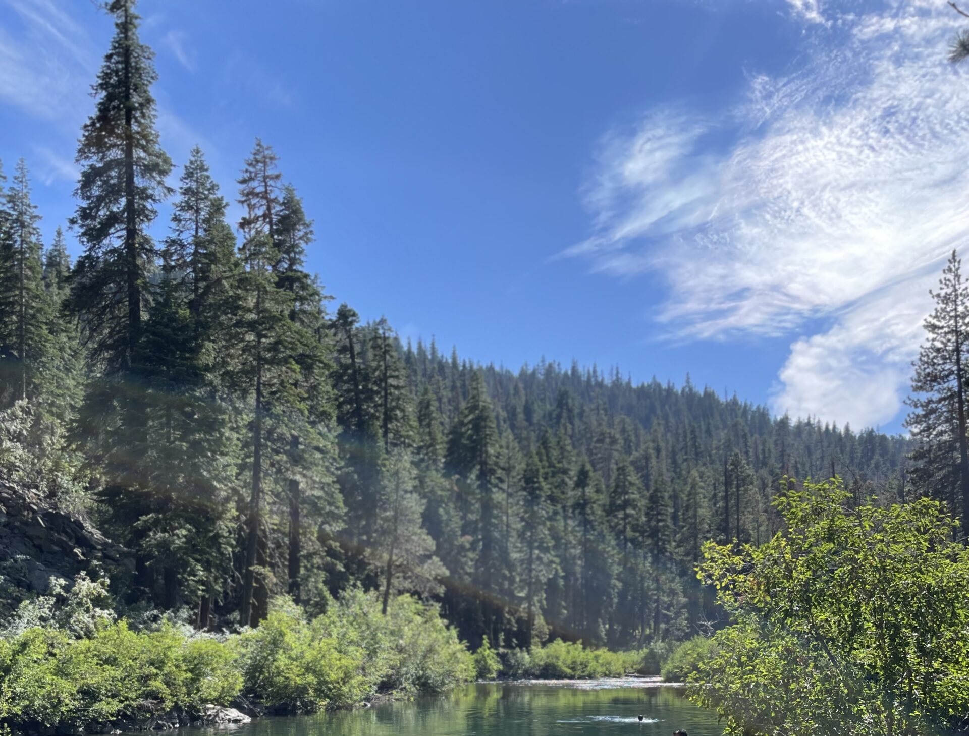 Compassionate Trauma Therapy